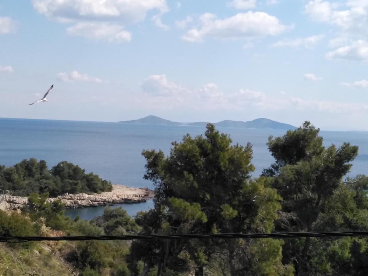 Litsa Patitiri (Alonnisos)