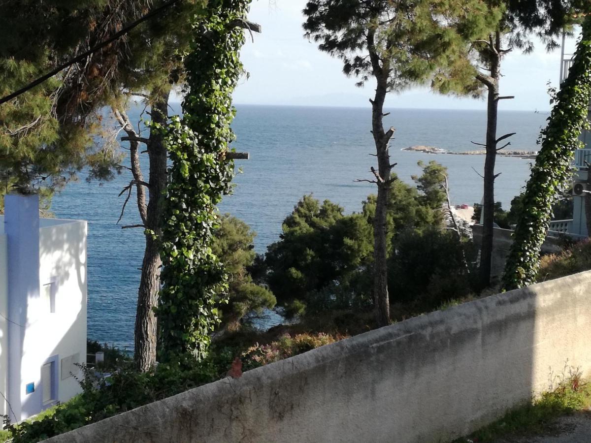 Litsa * Patitiri (Alonnisos)